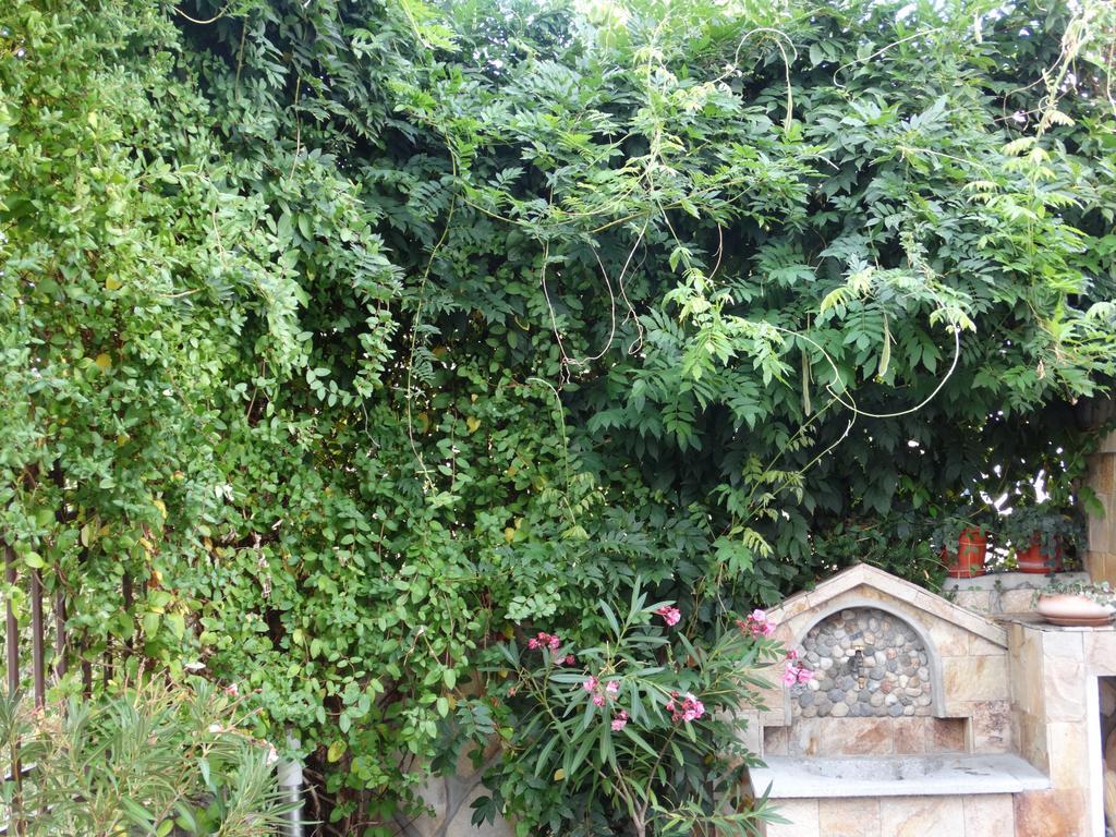 Guest House Ivel Сапарева-Баня Экстерьер фото