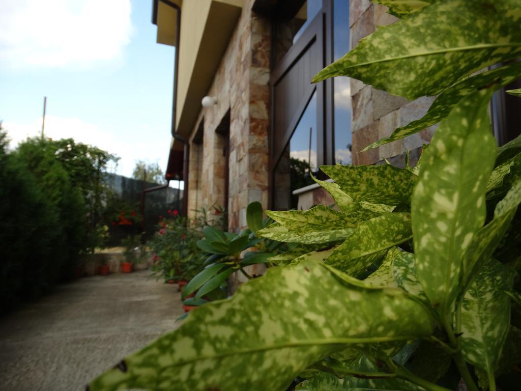 Guest House Ivel Сапарева-Баня Экстерьер фото